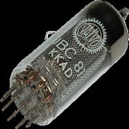 UBC81