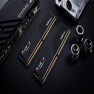 G.Skill Flare X5 F5-5200J4040A16GX2-FX5 32 Go DDR5 PC