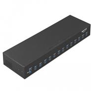 Hub Delock - 13 ports USB 3.1 Gen 1