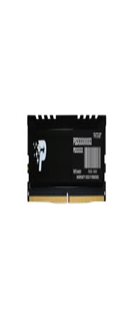 PATRIOTE RAM DDR5 24 Go 5600 MHz