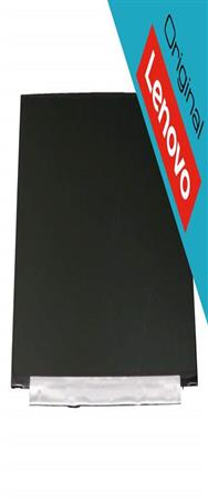 Écran Lenovo SD10W69520