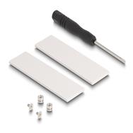 Carte PCI Express x8 Delock vers 2 x NVMe M.2 internes Key M