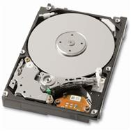 SAS Toshiba 147 Go 2,5" - 147 Go - 10 000 tr/min - 16 Mo - 2,5" - SAS