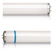 Philips Actinic BL TL-D TL-D 18W/10 Secura 1SL/25 - 18 W - G13 - 9000 h