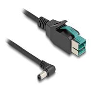 Câble Delock PoweredUSB - USB PlusPower (12 V) (M) vers prise CC 5,5 x 2,1 mm (M) coudée
