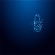 Kingston IronKey Vault Privacy série 50