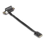 Adaptateur d'interface Delock - PCIe 4.0 x4 (NVMe)