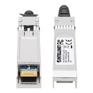 Câble de connexion directe Intellinet 10GBase