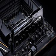 F5-9000C4256H24GX2-TZ5CK