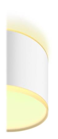 Signify Hue Infuse Medium Plafonnier Blanc & Couleur