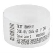 Zebra Wristband Synthetic 25.4 x 279