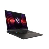 MSI Vector 17 HX A14VHG-1009 - Ordinateur portable - Core i9