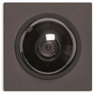 TechniSat EB-Dome-KameramodulAMI10620-0057Serie AMI schwarz