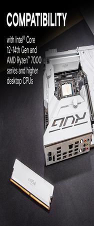 Crucial Pro DDR5-6000 blanc 16 Go UDIMM CL36
