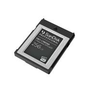 SanDisk Professional - Carte mémoire flash