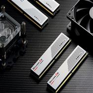 F5-5600J3036D16GX2-RS5W