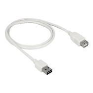 Delock Easy - Câble d'extension USB