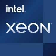 HPE SC ProLiant ML110 Gen11 5416S Server Xeon DP
