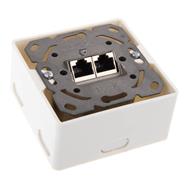 Boîtier de prise murale InLine Cat.6, montage en surface ou encastré, 2x RJ45 horizontal