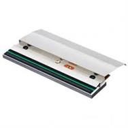 Tête d'impression TSC PH-MH241-0002 pour série MH341