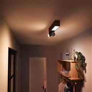 Philips White & Color Ambiance Centris Deckenleuchte schwarzÃ¢â‚¬Â¢ 2er-Spot