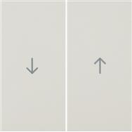 16258982