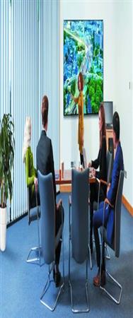 Philips 43BDL3550Q Panneau LED 43"