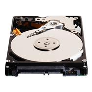 WD Blue WD1600BEVE - Disque dur