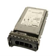 Origin Storage 1TB 7.2k PE *900/R SERIES NEARLINE SAS 3.5in HD With CADDY - 1 TB - 7200 RPM - 128 MB - 2.5" - NL-SAS