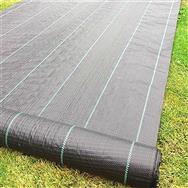 Tapis anti-mauvaises herbes UV noir Extralink (70 g)