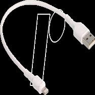 Câble Lightning Delock - USB mâle vers Lightning mâle