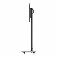 Hagor 2877 117-165 cm 80 kg
