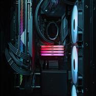 Kingston FURY 32GB 6400MT/s DDR5 CL32 DIMM Renegade RGB XMP - 32 GB - 1 x 32 GB - DDR5 - 288-pin DIMM