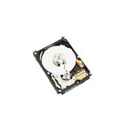 WD Blue WD800BEVE - Disque dur