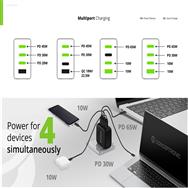 ALTHEA18B