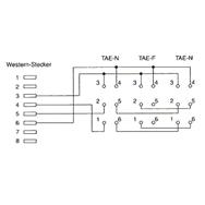 Câble adaptateur InLine TAE RJ45 mâle vers TAE NFN femelle 20 cm