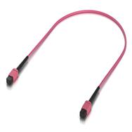 Ubiquiti Indoor OM4 Multi-Mode Fiber Patch Cable 0.5m