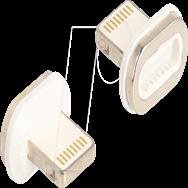 Delock 66574 - Adaptateur magnétique pour connecteur Lightning 8 broches
