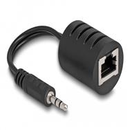 Adaptateur audio Delock - RJ-45 femelle vers mini-jack mâle