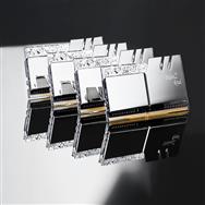 F4-3600C16Q-32GTRSC