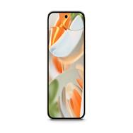 Google Pixel 9 Pro Porcelain Telekom 256GB