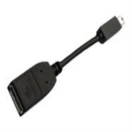 Adaptateur DisplayPort PNY - Mini DisplayPort vers DisplayPort
