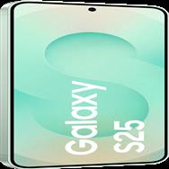 Samsung Galaxy S25 mint 4510-090974-00