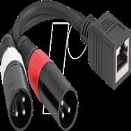 Adaptateur audio Delock - XLR3 mâle vers RJ-45 femelle
