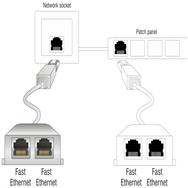 Doubleur de port RJ45 Delock - Répartiteur Ethernet 100Base-TX
