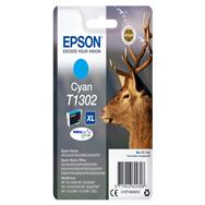 C13T13024012