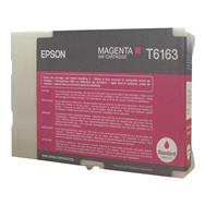 C13T616300