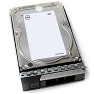 Dell 400-BLEW - 4 To - 7 000 tr/min - 3,5" - NL-SAS