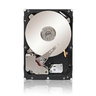 Lenovo 300GB 10K 6Gb/s SAS 2.5" - 2.5" - 300 GB - 10000 RPM