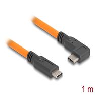 Câble USB Delock - USB-C (M) 24 broches coudé vers USB-C (M) 24 broches droit